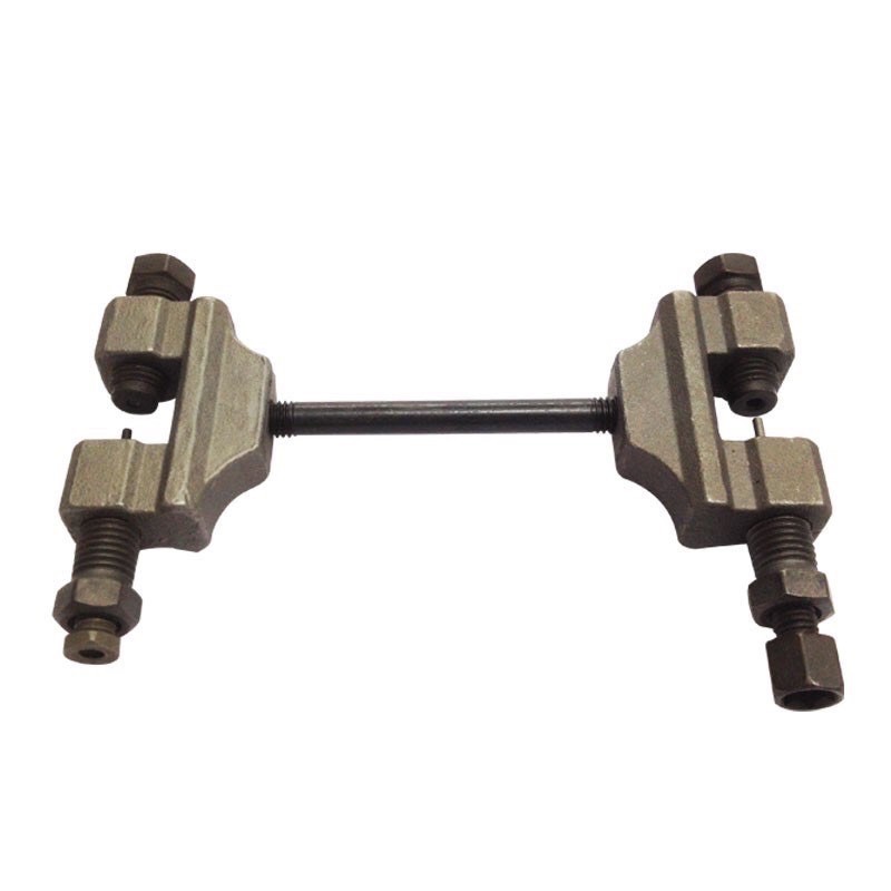 Cảo sên cam Century