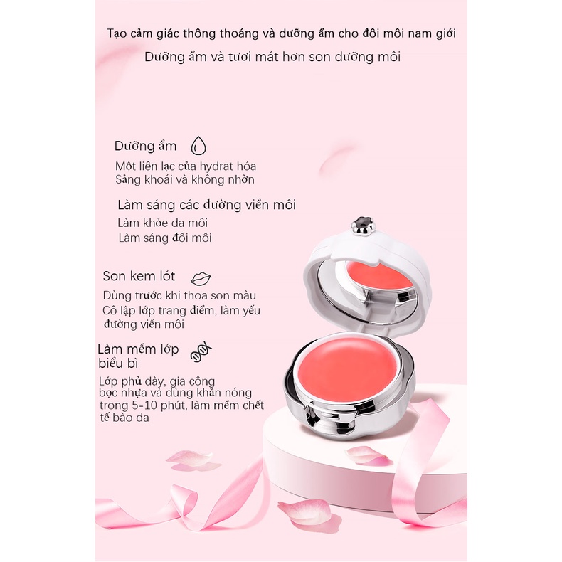 Mặt nạ ngủ cho môi SNEFE hương dâu tây 13g