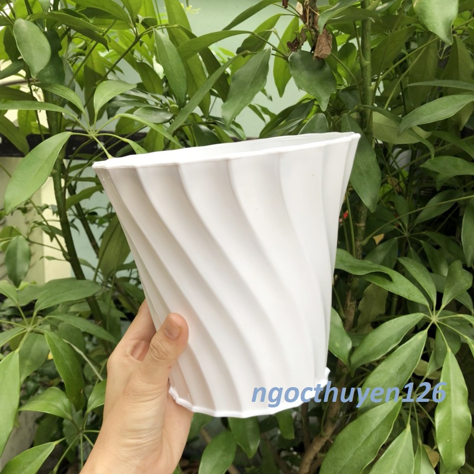 Bộ 04 chậu khía xoắn màu trắng nhựa dày đẹp 18x17x12cm