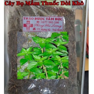 1kg cây bọ mắm khô