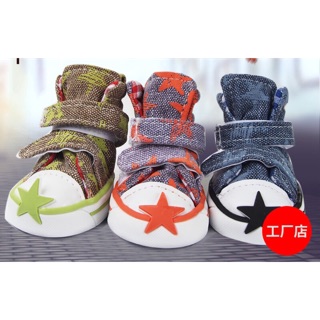 Giày converse ngôi sao thú cưng (giao màu ngẫu nhiên)