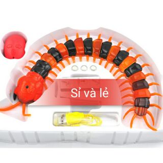 Rết điều khiển từ xa