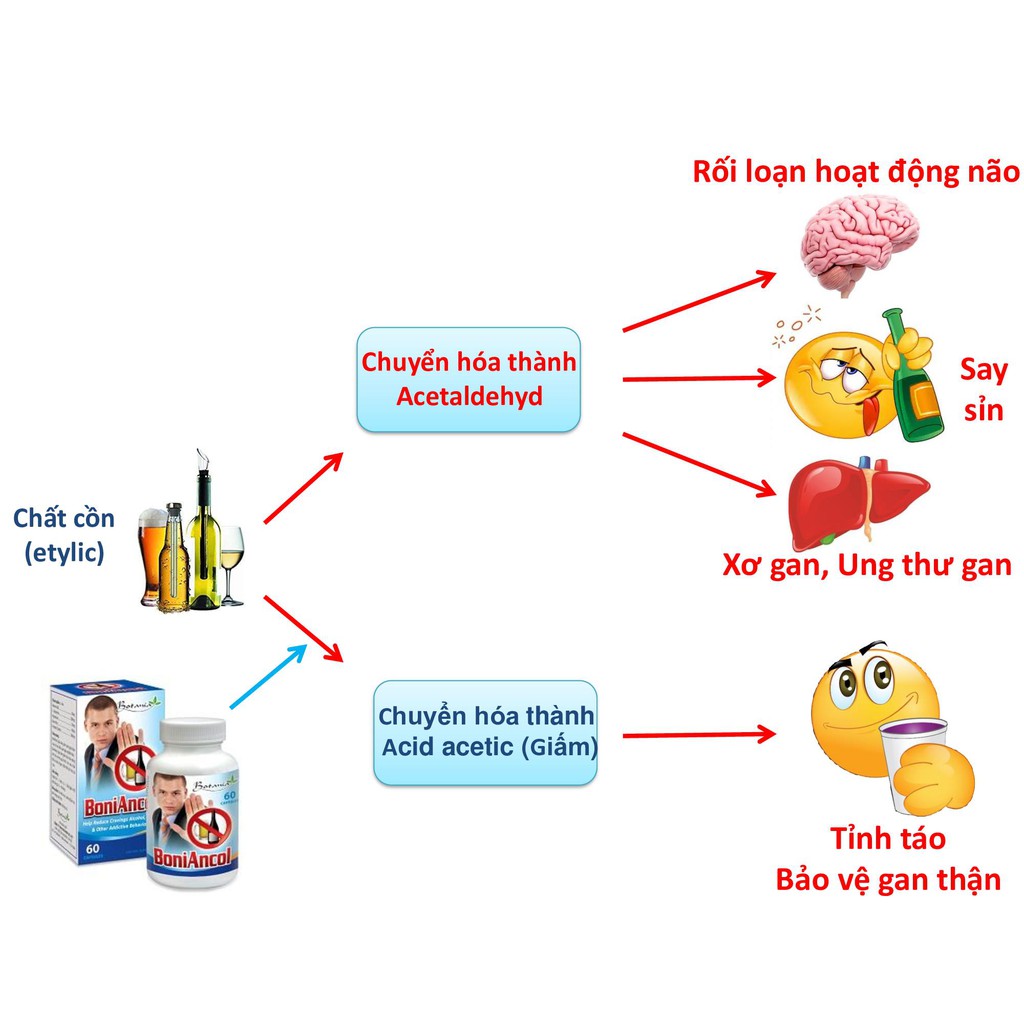 BoniAncol- Hỗ trợ cai rượu, giải rượu hiệu quả, bảo vệ Gan, Thận khỏi các tác hại của bia Rượu