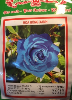 Hạt giống Hoa Hồng Xanh