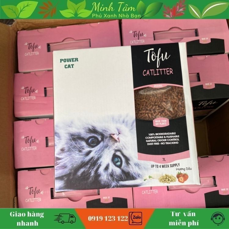 Cát Vệ Sinh Hữu Cơ Bã Đậu Nành Thích Hợp Cho Mèo Con Tofu CatLitter 7l