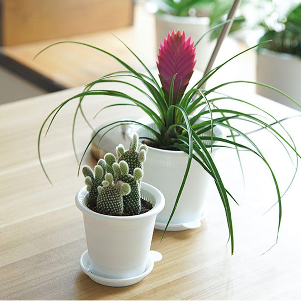 Chậu Trồng Hoa Lan Hai Lớp Bằng Nhựa Chất Lượng Cao