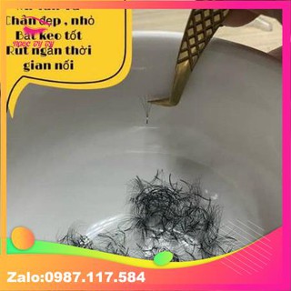 Mi fan xưởng 4d 007 (cong c cc d từ 9 đến 15)