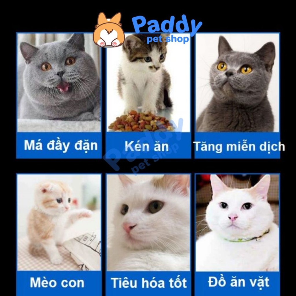 Bột Tăng Nọng Bánh Bao Dễ Thương Cho Mèo (200g)