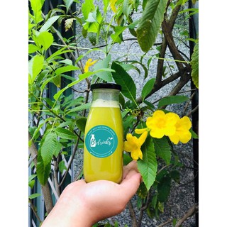 Combo 5 chai thủy tinh đựng sữa hạt 300ml