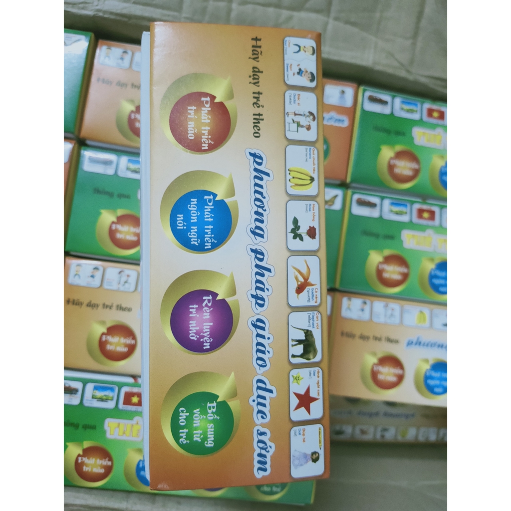 HỘP 416 THẺ HỌC THÔNG MINH GIAO DỤC SỚM CHO TRẺ #8