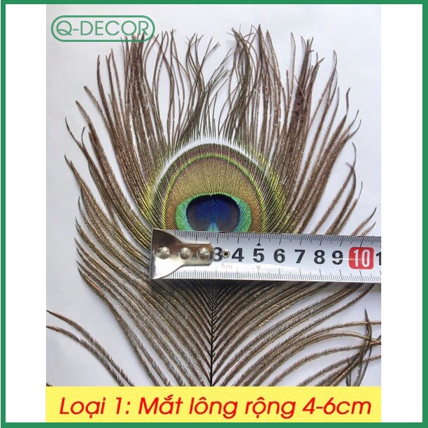 Bình cắm lông công phong thủy 30 cành loại 1