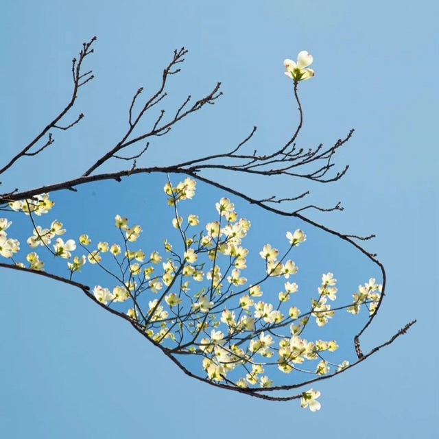 Thảo Gấu, Cửa hàng trực tuyến | BigBuy360 - bigbuy360.vn