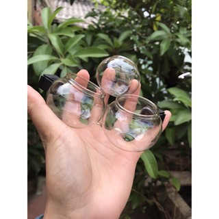 cóng thuỷ tinh mào