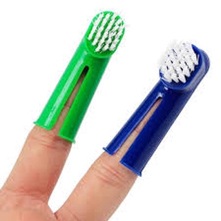 BỘ BÀN TRẢI ĐÁNH RĂNG CHO CHÓ VÀ MÈO
