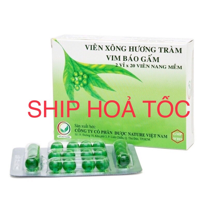 Viên Xông Hương Tràm Vim Báo Gấm - Hộp 2 vỉ x 20 viên