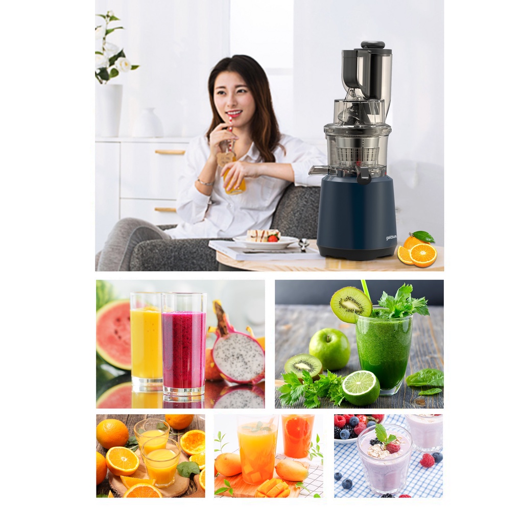 Máy Ép Chậm Hoa Quả GOLDSUN GFJ4501, Ép Kiệt Đến 95% - BẢO HÀNH 12 THÁNG