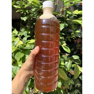 Mật ong hoa cà phê daklak