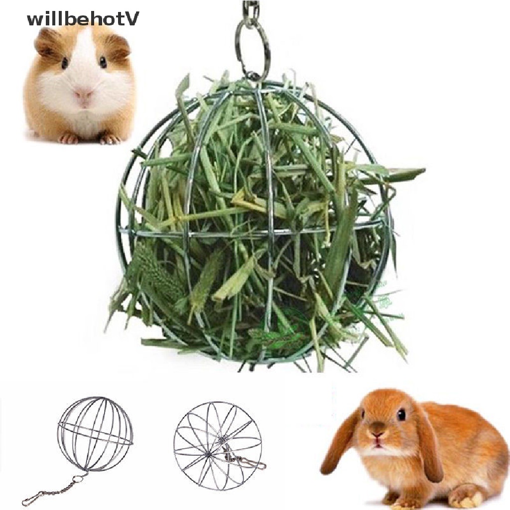 Hộp Đựng Thức Ăn Hình Cầu Bằng Thép Không Gỉ Tiện Dụng Cho Thỏ / Thú Cưng