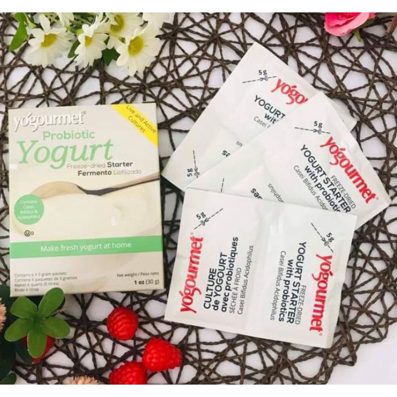 Men làm sữa chua Kefir - Probiotic