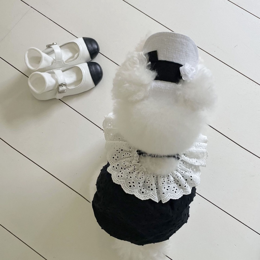 Váy Áo Thiết Kế Hàn Quốc Hở Lưng Cho Chó Mèo Chất Vải Cotton Mát Quần Áo Thú Cưng Thiết Kế Hiha Pets.