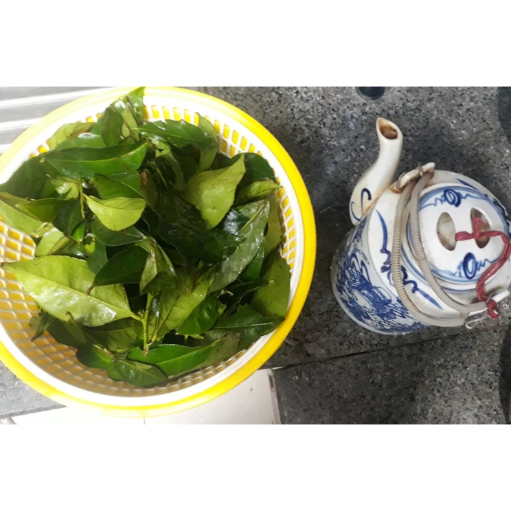 Lá Chè Xanh Tươi 1Kg- Shop Ba Vì