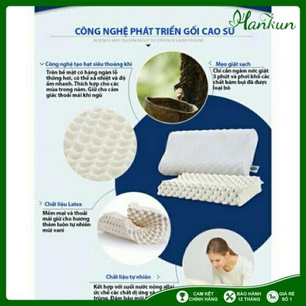 Gối cao su non Ventry Thái Lan hàng cao cấp mềm mại