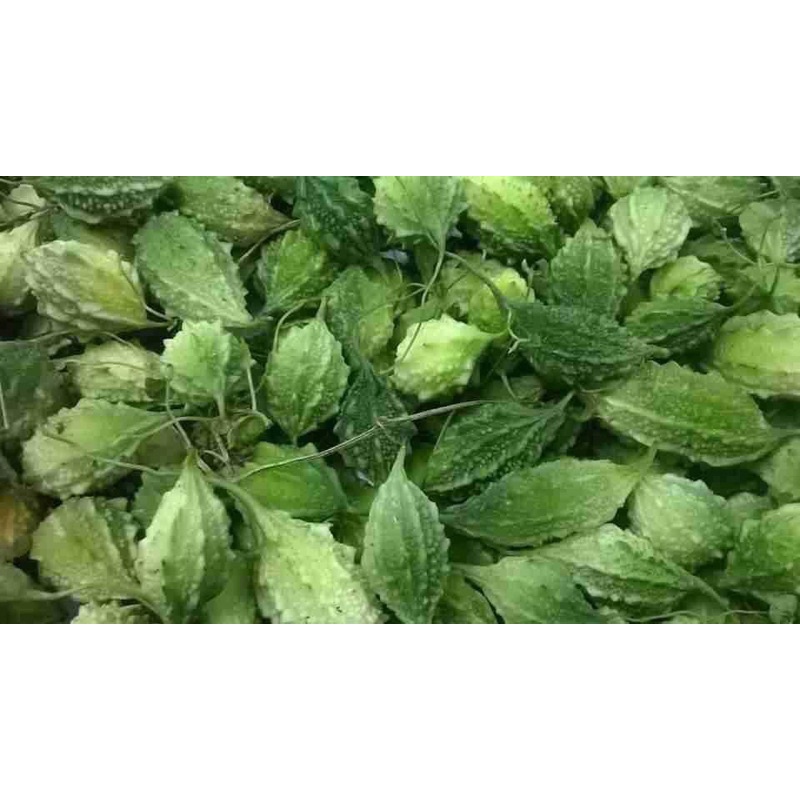 Quả mướp đắng ta (khổ qua rừng) quả nhỏ vỏ sần thái lát sấy lạnh