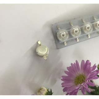 Combo 20 Led Luxeon 1W SenYang, không đế