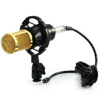 MICRO THU ÂM BM800