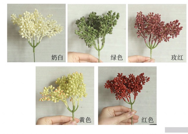 Hoa giả- Cành điểm lý hương Skimmia