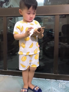Set 5 bộ hoa quả cho bé yêu