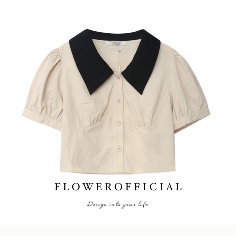 Áo sơ mi nữ dáng crotop đơn giản, nhẹ nhàng màu xinh | BigBuy360 - bigbuy360.vn