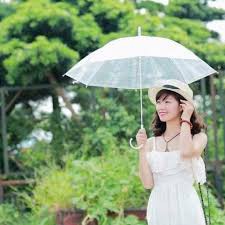 Ô dù trong suốt thời trang/ ô dù hàn quốc