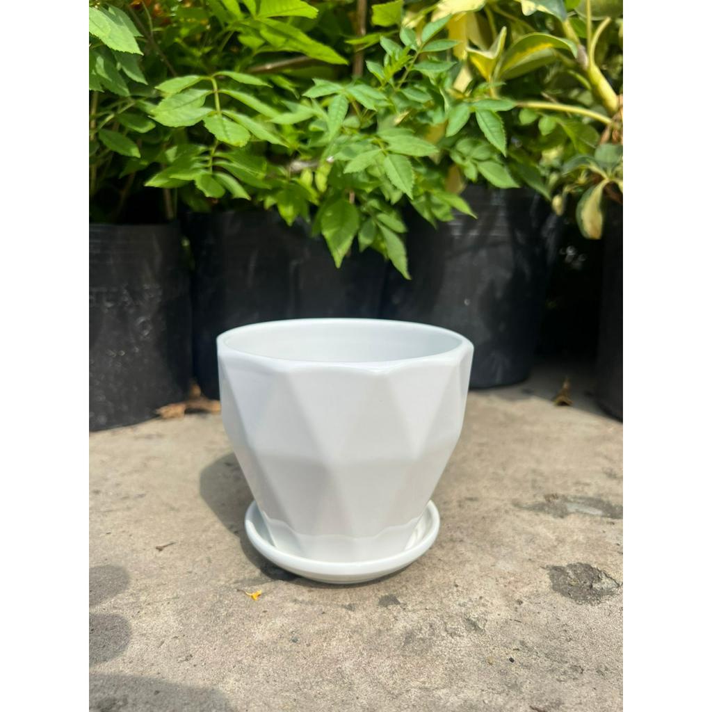 Chậu sứ trồng cây XUAN DONG GARDEN kèm đĩa hứng nước, chậu trồng cây đẹp để bàn, cây văn phòng