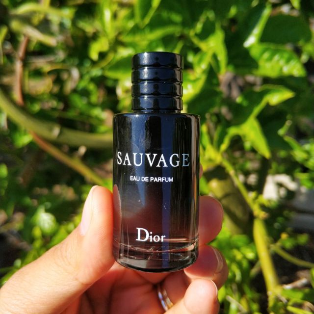 dior sauvage small