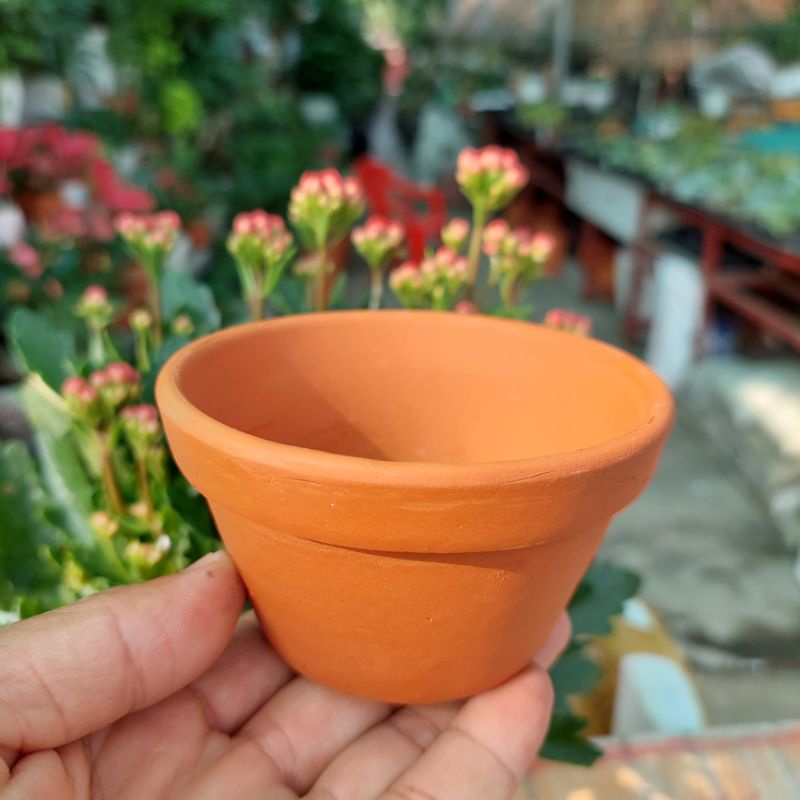 Chậu đất nung, Chậu sen đá - Ly gờ 95, miệng chậu 9cm, chiều cao 5cm