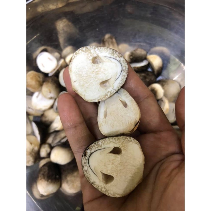 Nấm Rơm Việt Nam