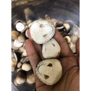 Nấm Rơm Việt Nam