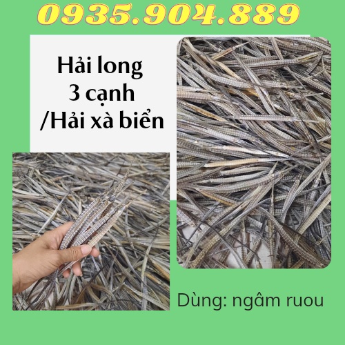 + 2 con Hải Long 3 cạnh/Hải xà biển khô