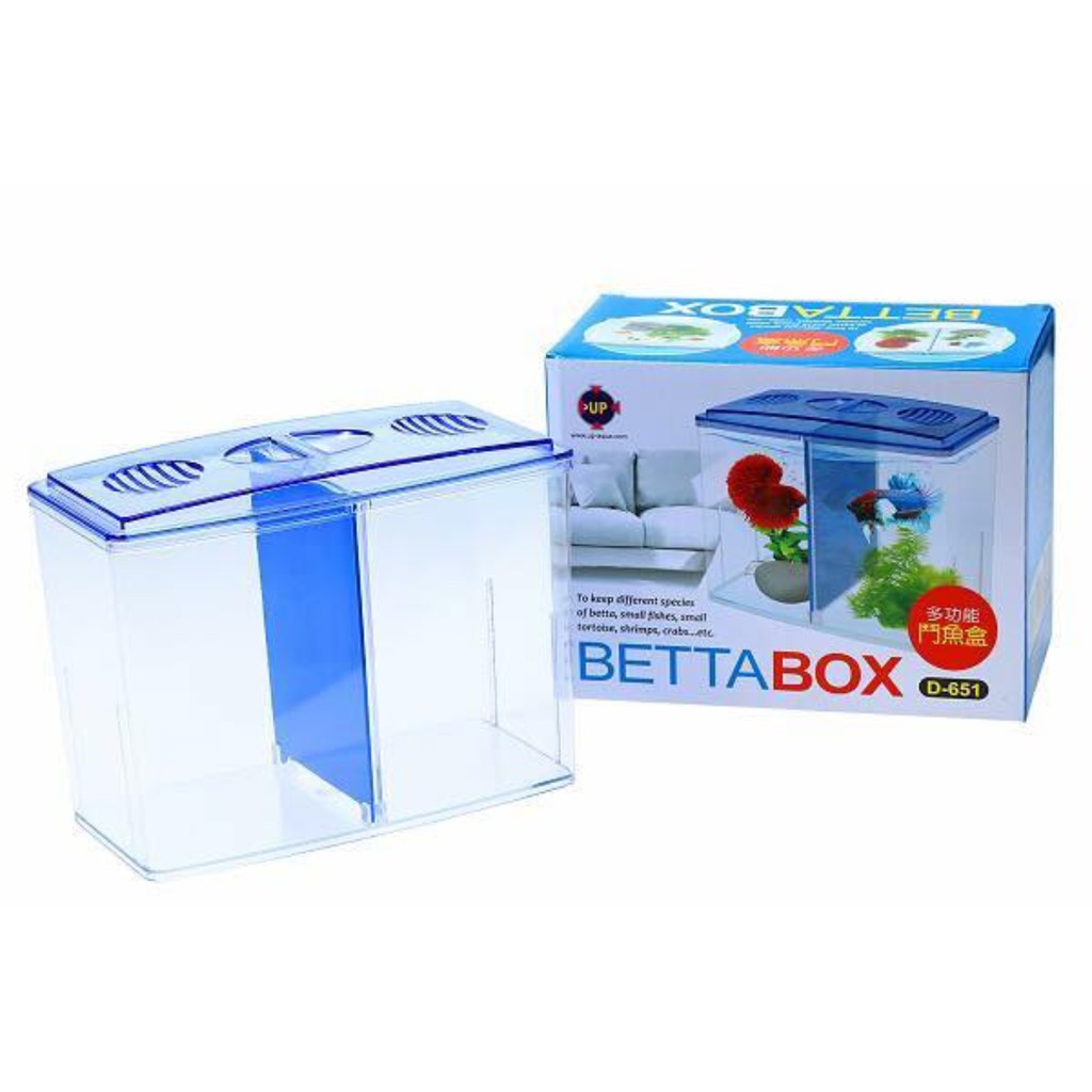 HỒ CÁ BETTA BOX UPAQUA