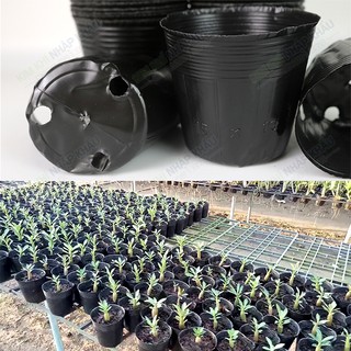 1 kg túi chậu ươm cây màu đen kích thước 15x13 - CH5