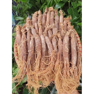 Nhân sâm hồng sâm Hàn Quốc 100g