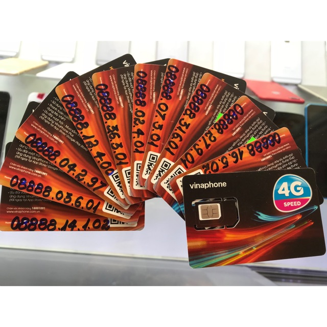 Sim tứ quý giữa, đuôi năm sinh