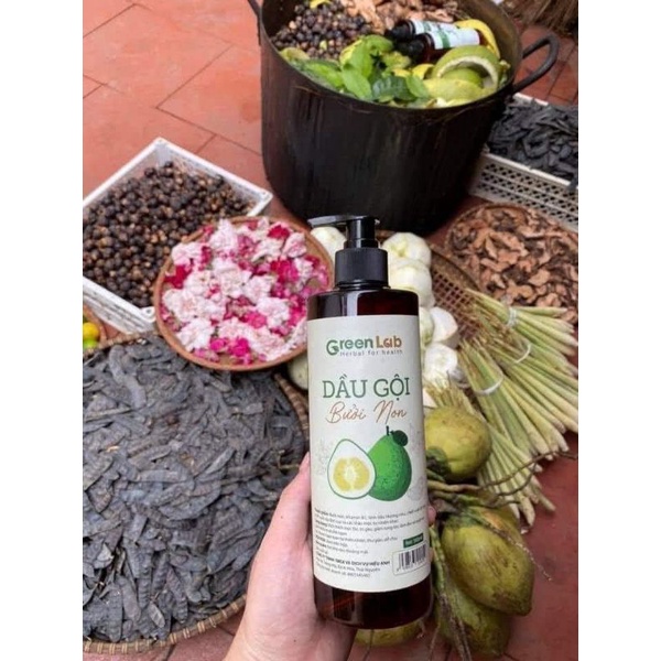 Dầu gội bưởi non Greenlab