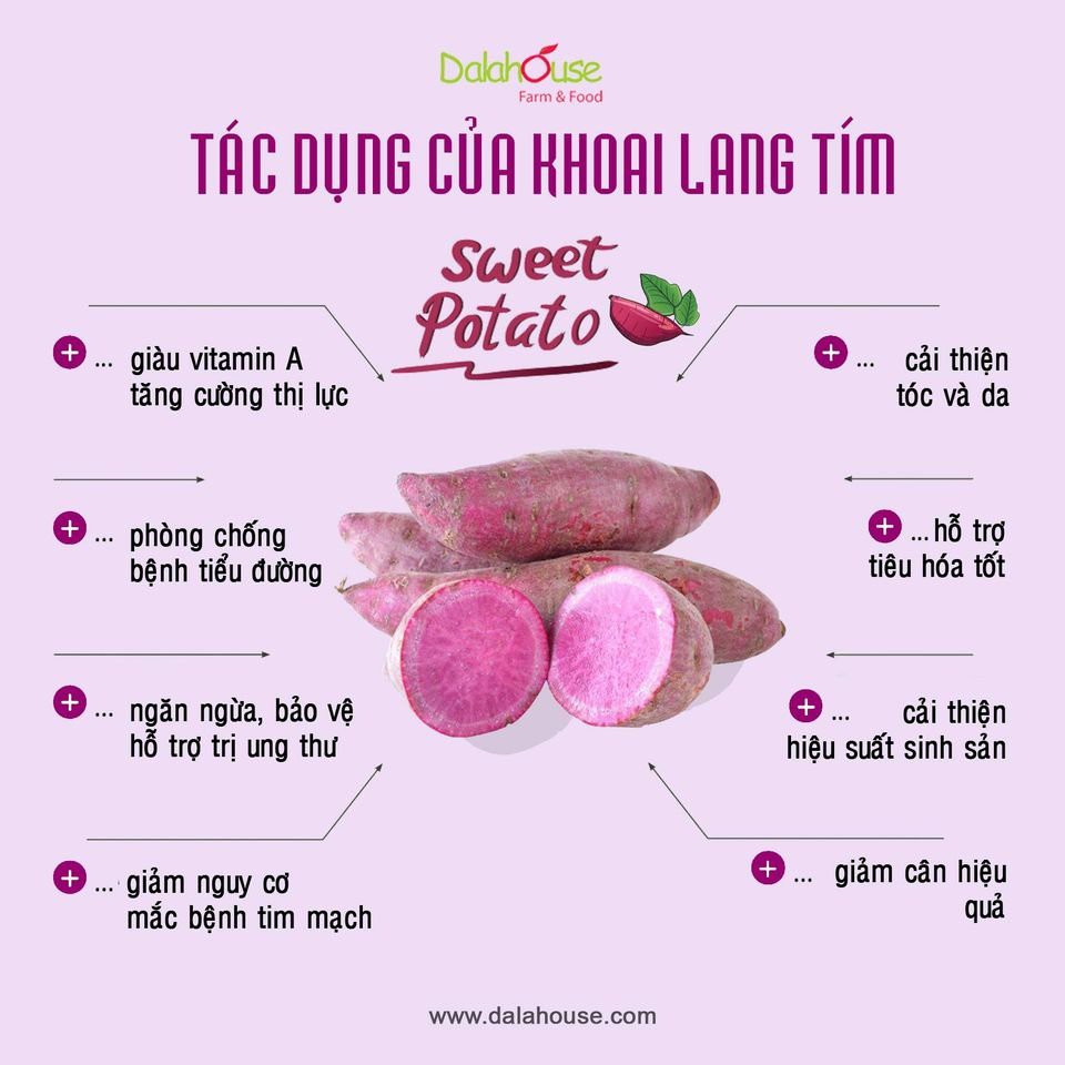 Bột khoai lang tím nguyên chất Dalahouse 50g - Tạo màu bánh, bột ăn dặm cho bé