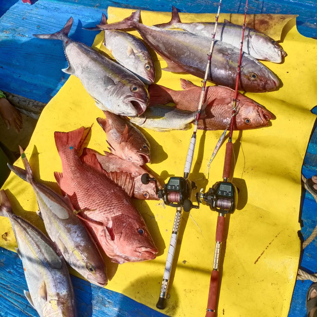 Dây câu cá Nylon Tyoz, dùng làm leader, thẻo câu ngâm cá biển lớn.