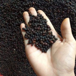 Tiêu đen Đăk Lăk (500g)