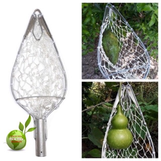 LỒNG HÁI TRÁI CÂY TRÊN CAO- DỤNG CỤ CHUYÊN DÙNG HÁI TRÁI CÂY TRÊN CAO