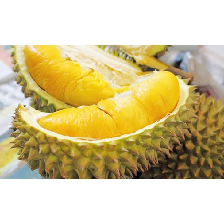 Phân URE - Đạm URE Phú Mỹ  phát triển cành lá, nảy chồi, giúp cây tăng trưởng và phát triển