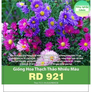 Hạt Giống Hoa Thạch Thảo Nhiều Màu 0.2gr
